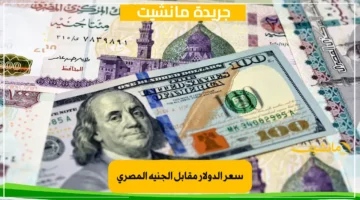 سعر الدولار مقابل الجنيه المصري اليوم الجمعة 22 اغسطس 2025 في البنوك